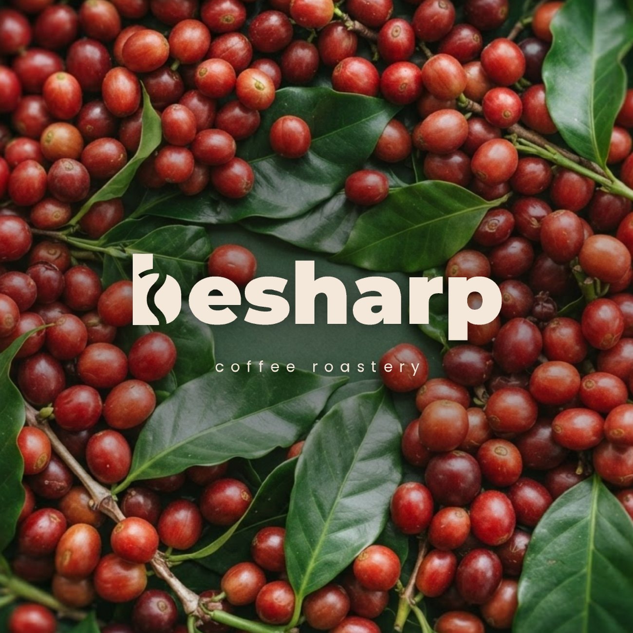 besharp — كيس القهوة على الخرسانة